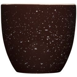 Tazza maculata Sussix adamo