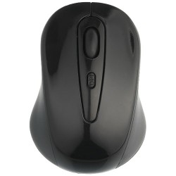 Mouse wireless Stanford Annett