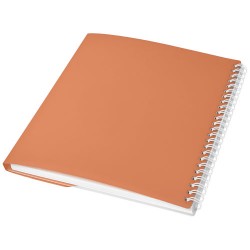 Notebook A6 Curve Astrakhan