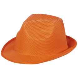 Cappello Trilby Avis