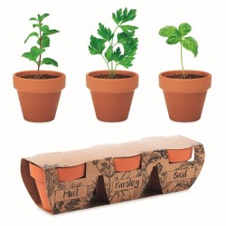 Set di erbe in terracotta FLOWERPOT Edmar