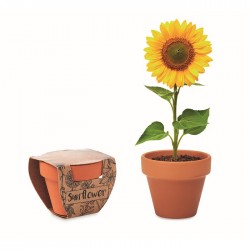 Semi di girasole SUNFLOWER edmeo