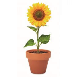 Semi di girasole SUNFLOWER edmeo