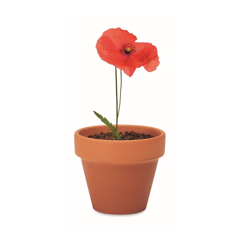 Semi di papavero RED POPPY edmo