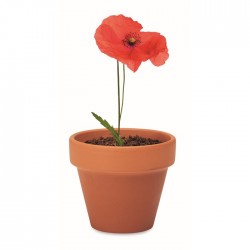 Semi di papavero RED POPPY edmo