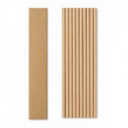 Set 10 cannucce PAPER STRAW Dillon