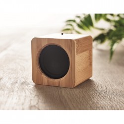 Speaker in bamboo AUDIO egilde