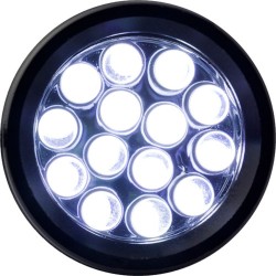 Torcia tascabile 14 luci Led, in alluminio eufrosio