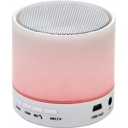 Speaker wireless in ABS fidarma