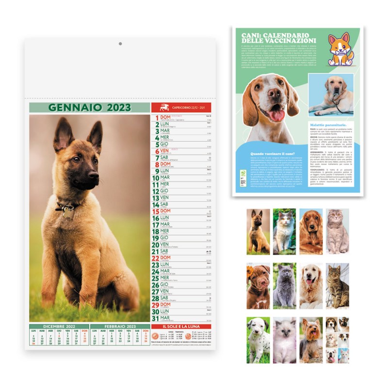 CALENDARIO CANI E GATTI Cacoal