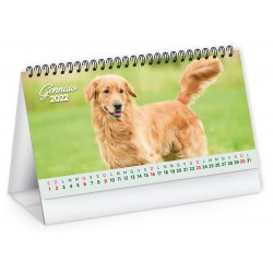 CALENDARIO CANI E GATTI Cah Ab