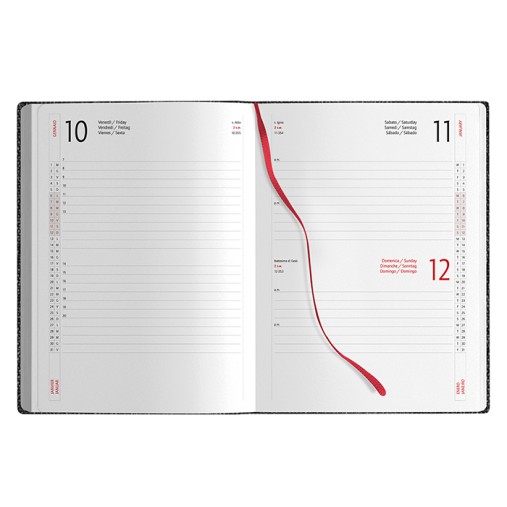 AGENDA GIORNALIERA Gadget.it