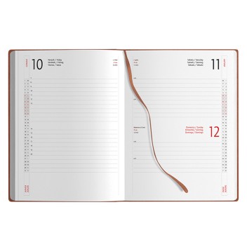 AGENDA GIORNALIERA Gadget.it