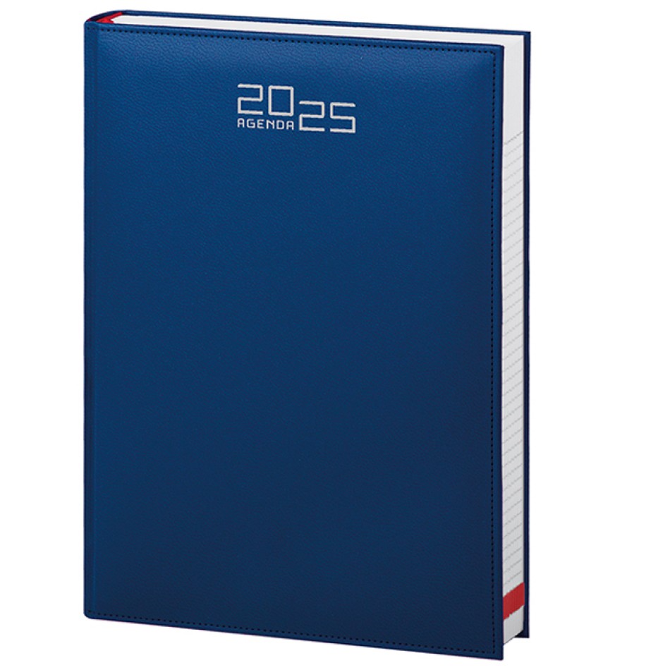 AGENDA GIORNALIERA MAXI Gadget.it