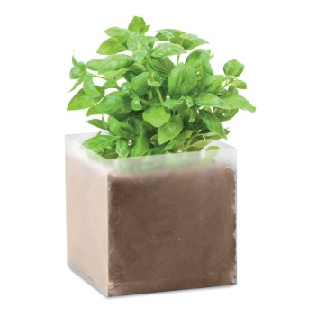 BASIL - Semi di basilico Gadget.it