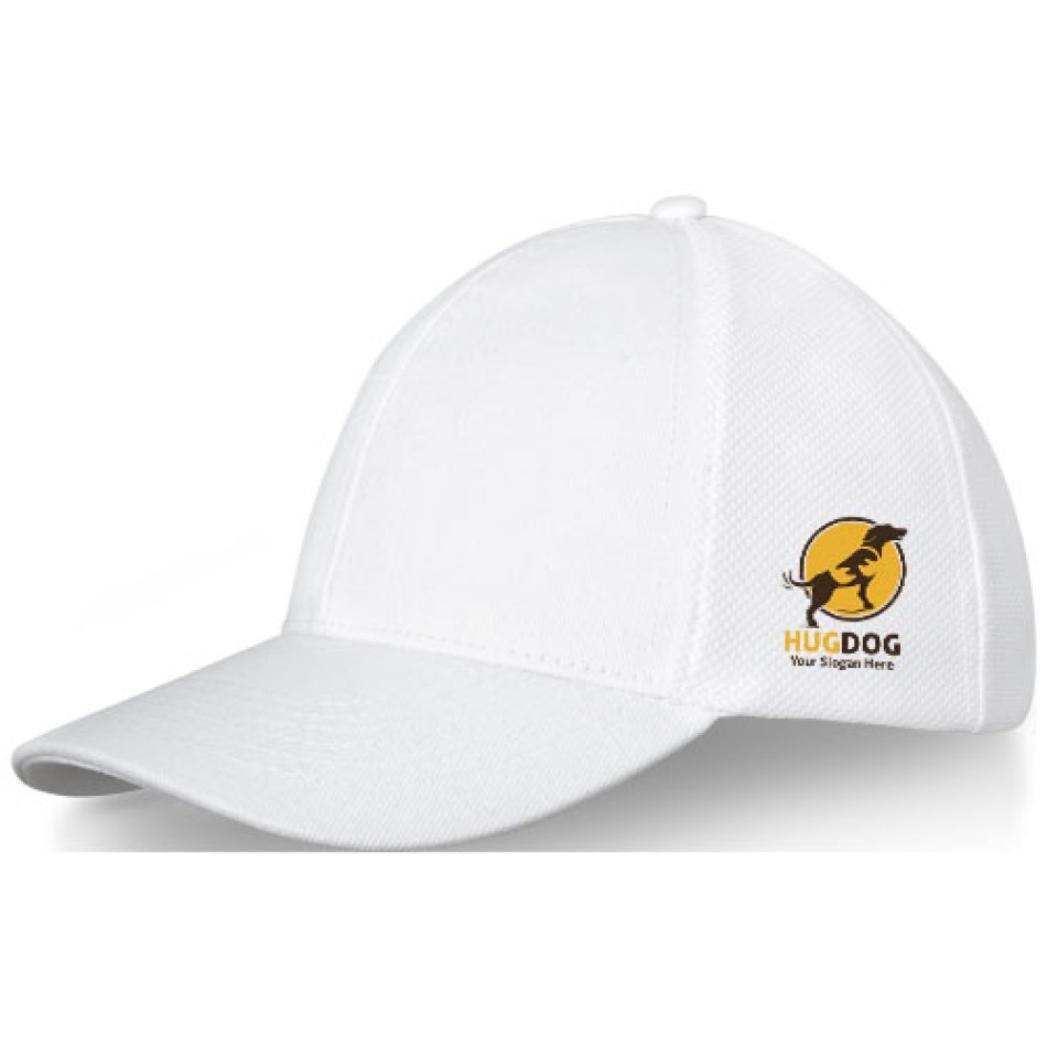 Cappellino trucker Drake a 6 pannelli Gadget.it