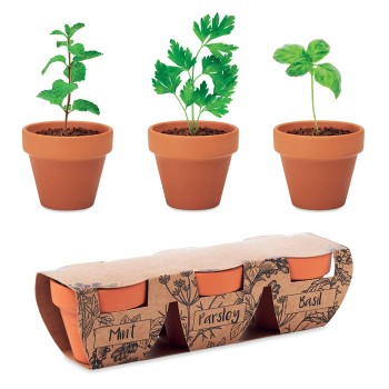 FLOWERPOT - Set di erbe in terracotta Gadget.it