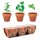 FLOWERPOT - Set di erbe in terracotta