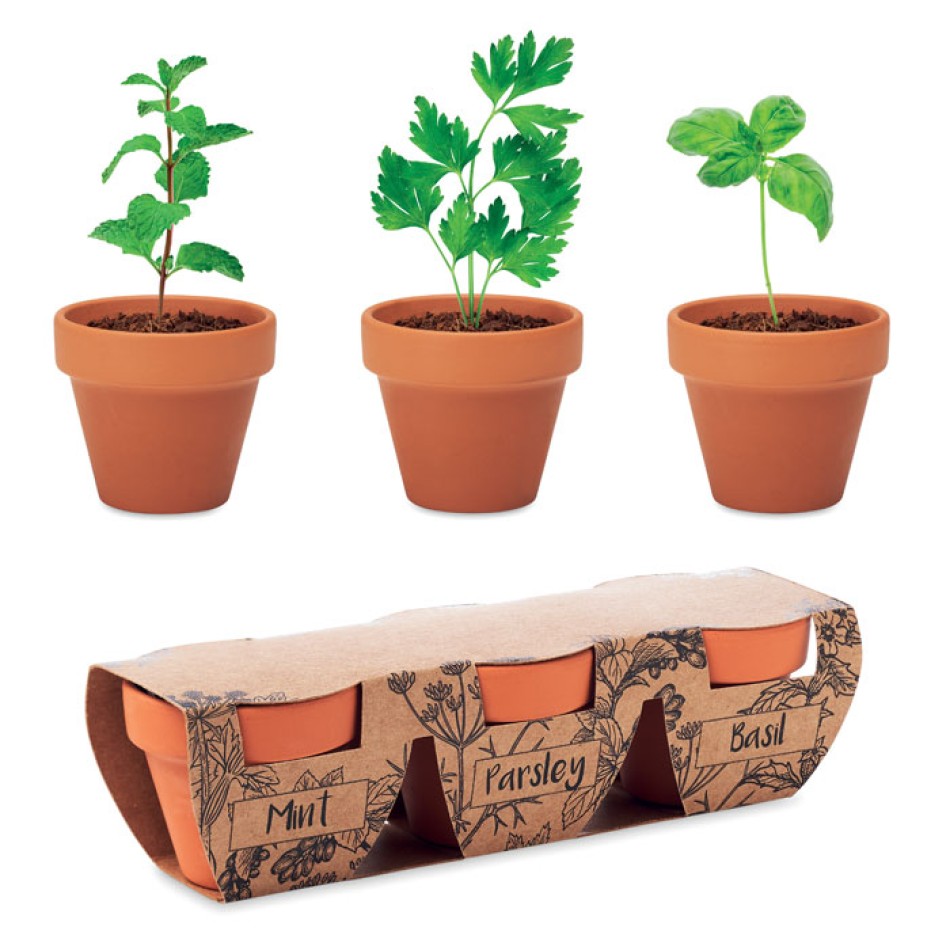 FLOWERPOT - Set di erbe in terracotta Gadget.it