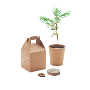 GROWTREE™ - Set in legno di pino Gadget.it