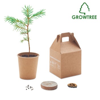 GROWTREE™ - Set in legno di pino Gadget.it