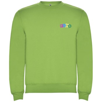 Maglione a girocollo da bambino Clasica Gadget.it