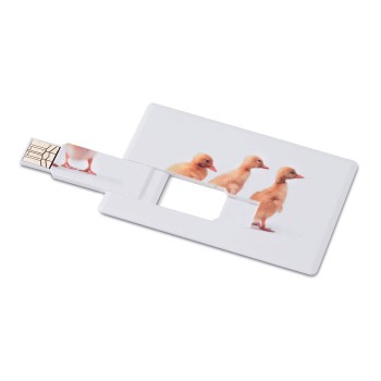 MEMORAMA - Creditcard. USB flash 16GB Gadget.it