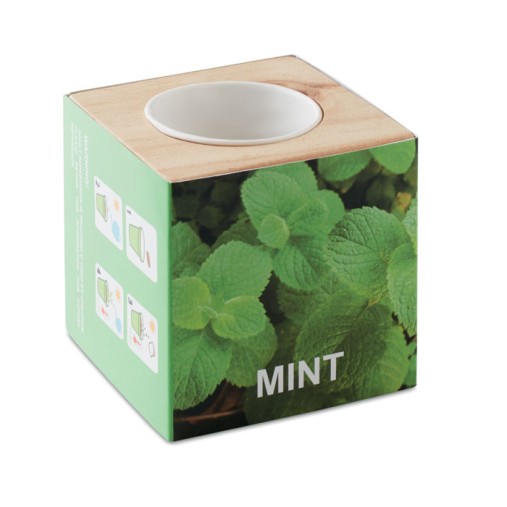 MENTA - Mini vaso in legno Gadget.it