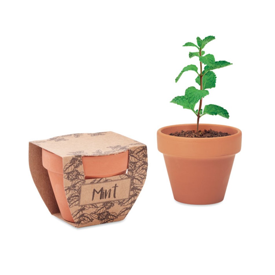 MINT POT - Semi di menta in vaso Gadget.it