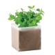 MINT - Semi di menta Gadget.it