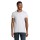 PIONEER MEN - T Shirt PIONEER UOMO 175g