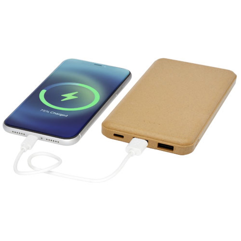 Power bank Eco da 10000 mAh Gadget.it