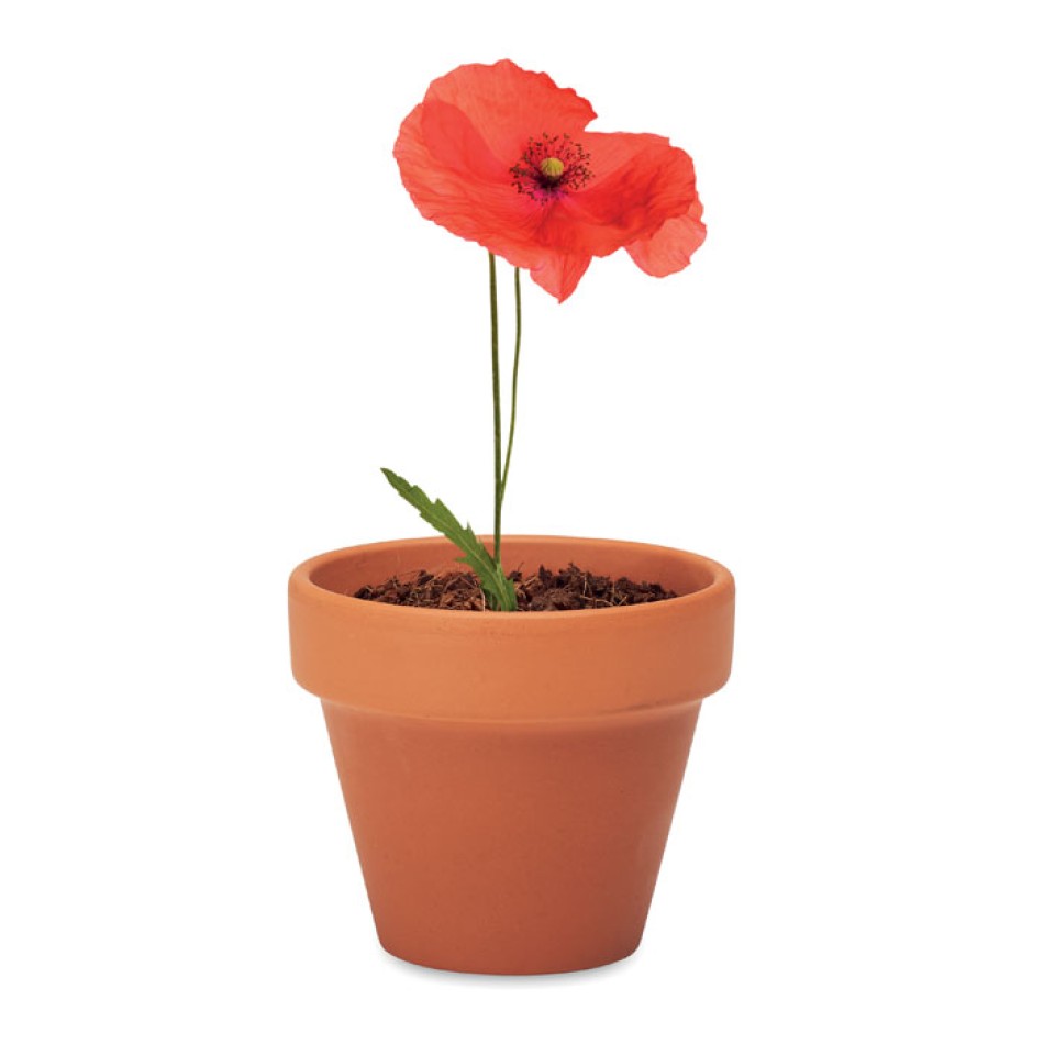 RED POPPY - Semi di papavero Gadget.it