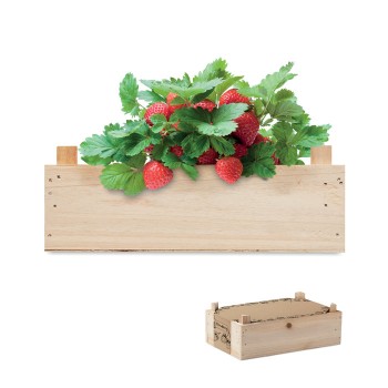 STRAWBERRY - Kit per coltivare fragole Gadget.it