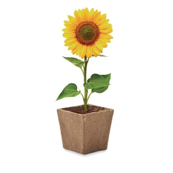 SUNFLOWER KIT - Kit per la coltivazione di semi di Gadget.it