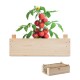 TOMATO - Kit di semi di pomodor Gadget.it