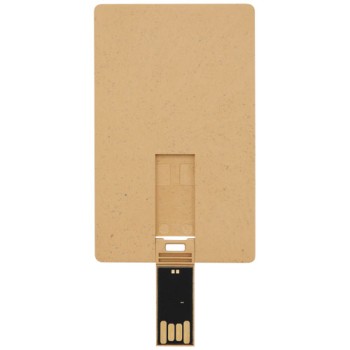 USB carta di credito con scocca biodegradabile Gadget.it