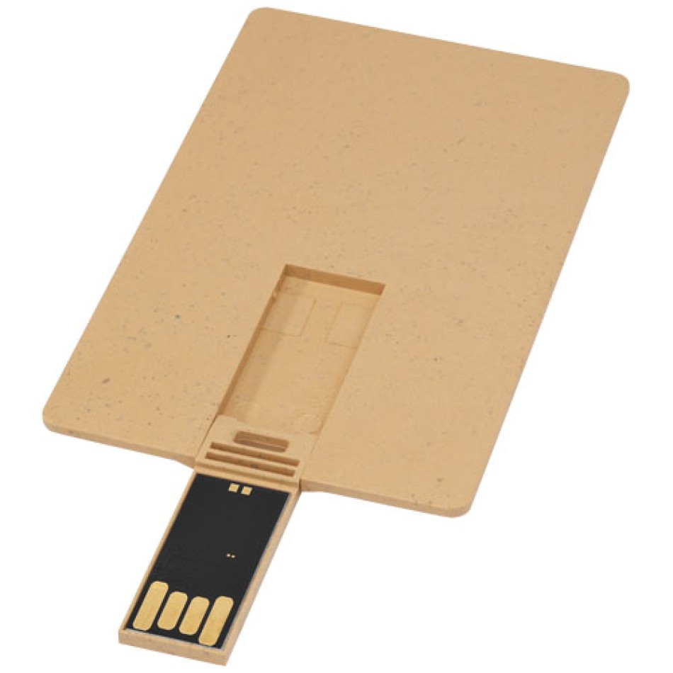 USB carta di credito con scocca biodegradabile Gadget.it