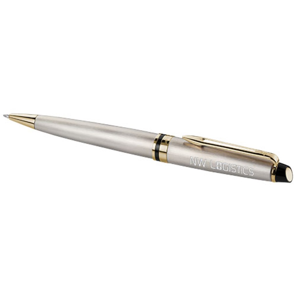 Waterman penna a sfera Expert Gadget.it