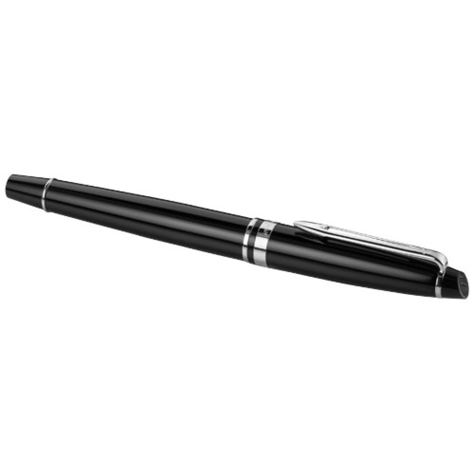 Waterman penna stilografica Expert Gadget.it